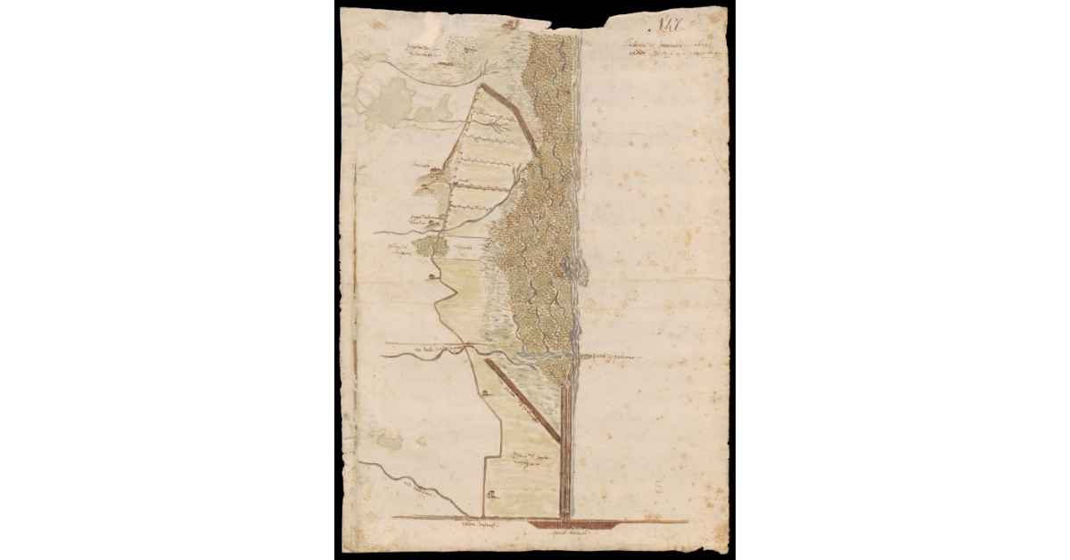 Fattoria di Frassineto