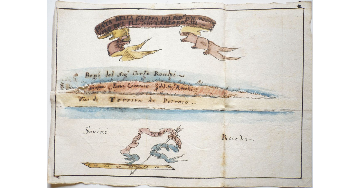 Pianta della Greppa del podere detto il Moggiuolo dell'Illustrissimo Signor Carlo Rocchi [a Torrita]