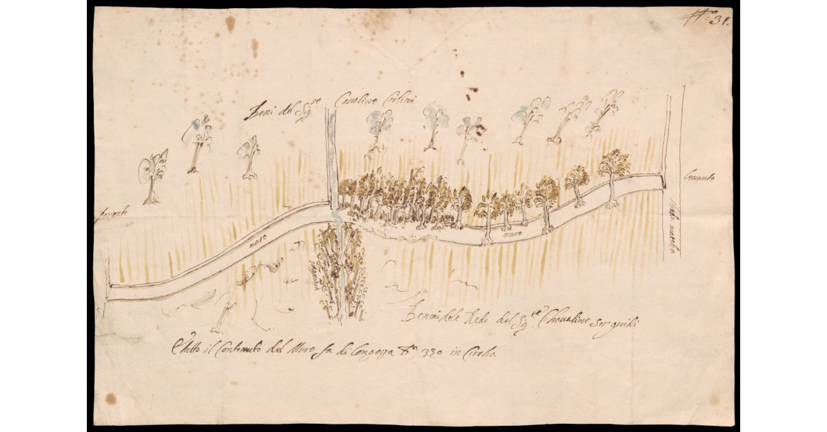 [Pianta del muro di confine fra i beni dei cavalieri Carlini e Serguidi]
