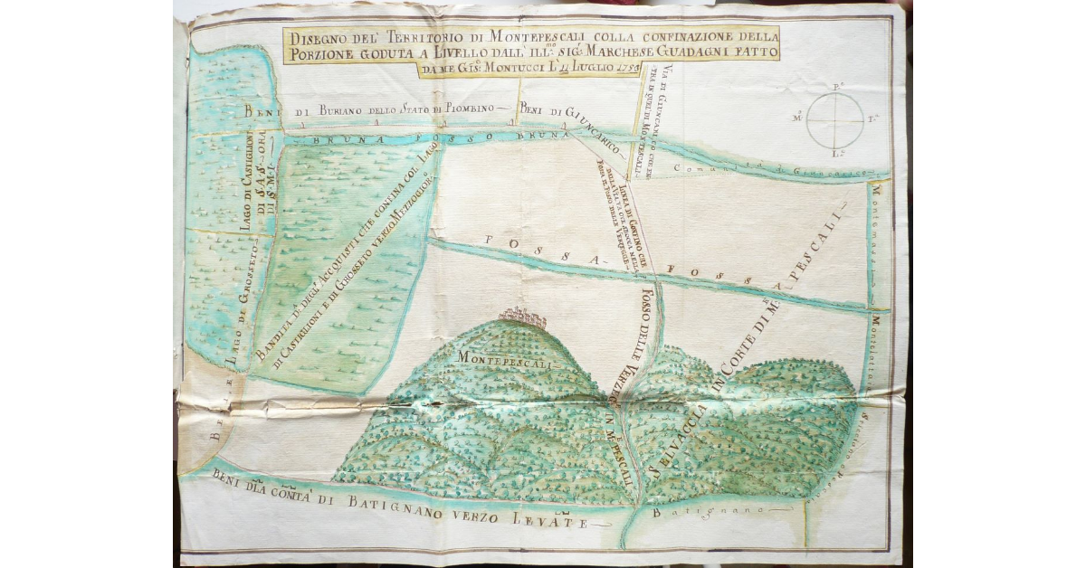 Disegno del' Territorio di Montepescali colla confinazione della Porzione goduta a Livello dall'Illustrissimo Signor Marchese Guadagni
