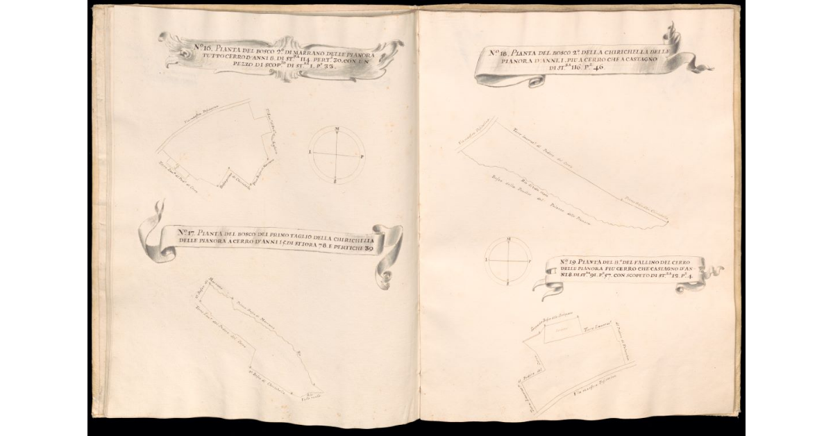 Pianta del bosco 2° di Marrano delle Pianora [e] Pianta del bosco del primo taglio della Chirichella delle Pianora [e] Pianta del bosco 2° della Chirichella delle Pianora [e] Pianta del bosco del Vallino del Cerro delle Pianora