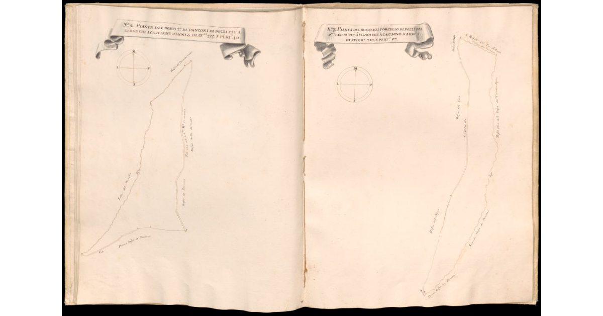 Pianta del bosco 2° de Panconi di Pozzi [e] Pianta del bosco del Porcello di Pozzi