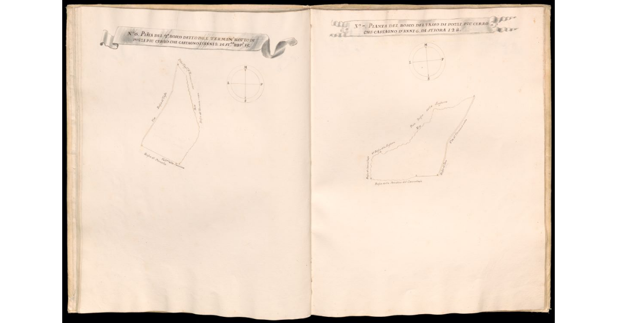 Pianta del 2° bosco detto del Termin Rotto di Pozzi [e] Pianta del bosco del Tasso di Pozzi