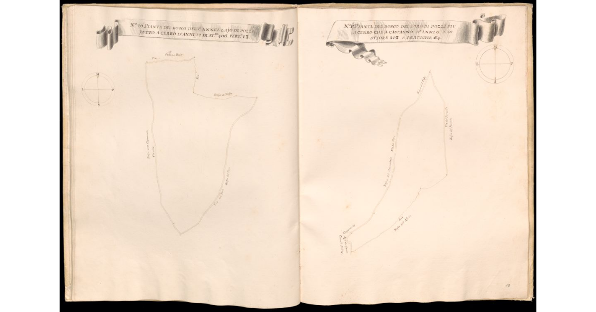 Pianta del bosco delle Capannelle di Pozzi [e] Pianta del bosco delle 3 Fontine del primo taglio