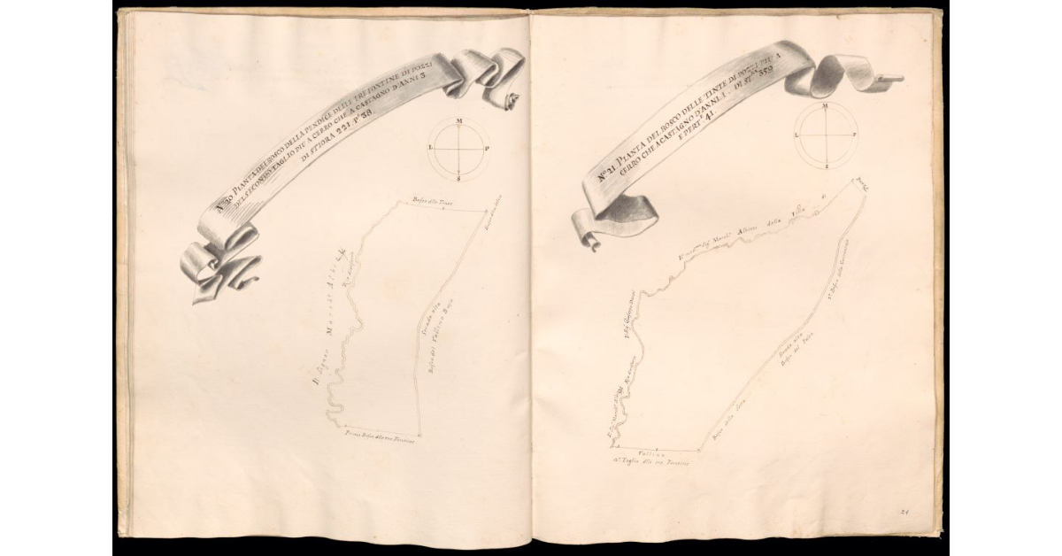 Pianta del Primo taglio del bosco della Marginetta di Pozzi [e] Pianta del 2° taglio del bosco della Marginetta di Pozzi