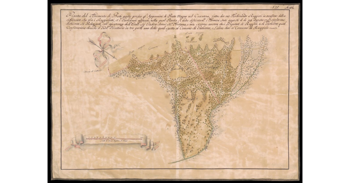 Pianta del tenimento di Buti posto presso gl'Appennini nel Prato Magno nel Casentino