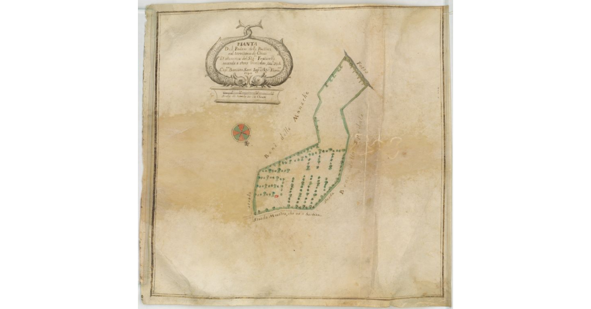Pianta del Podere della Pretina nel territorio di Chiusi d'attenenza del Sig.e Fraticelli