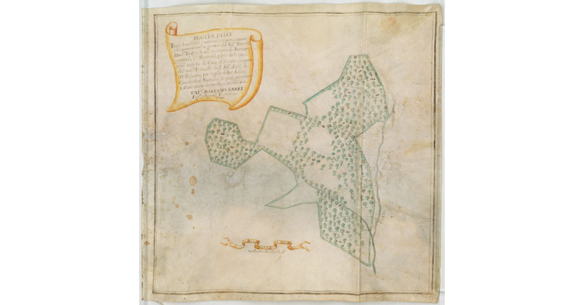 Pianta delle terre boschive e lavorative, sterpose e sassose che presentemente si godono dal Sig.re tenente Domenico Fraticelli nel territorio di Sarteano contrada detta Muscioni