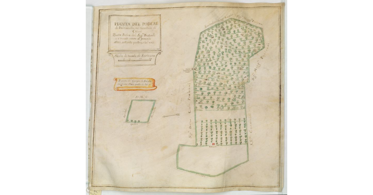 Pianta del Podere di Dolcianello nel territorio di Chiusi