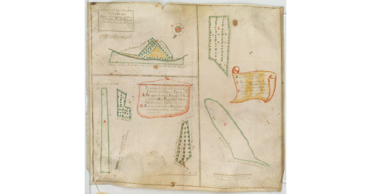 Pianta del Campo della Lega nel territorio di Sarteano [e altri terreni di proprietà Fraticelli]