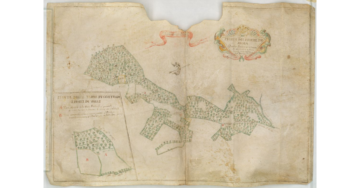 Pianta del Podere del Aiola [e] Pianta delle terre in contrada I Prati di Vagli