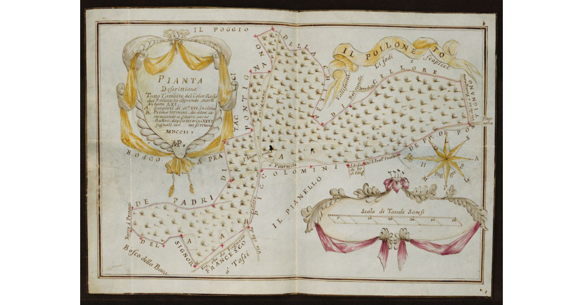 [Pianta del bosco del Polloneto della Fattoria di Fagnano presso Pontignano]