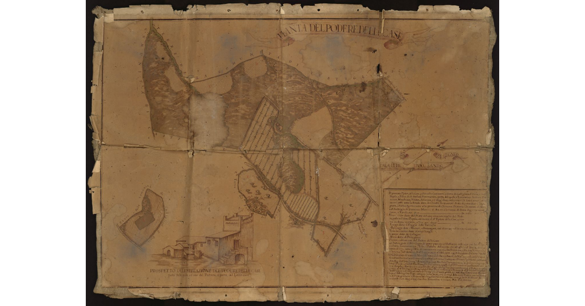 Pianta del Podere delle Case