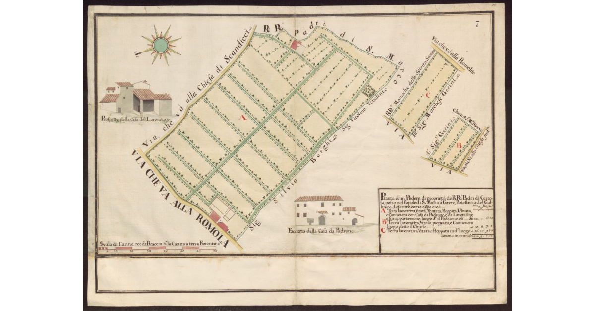 Pianta d'un podere de RR. Padri di Certosa posto nel Popolo di S. Maria a Greve Potesteria del Galluzzo