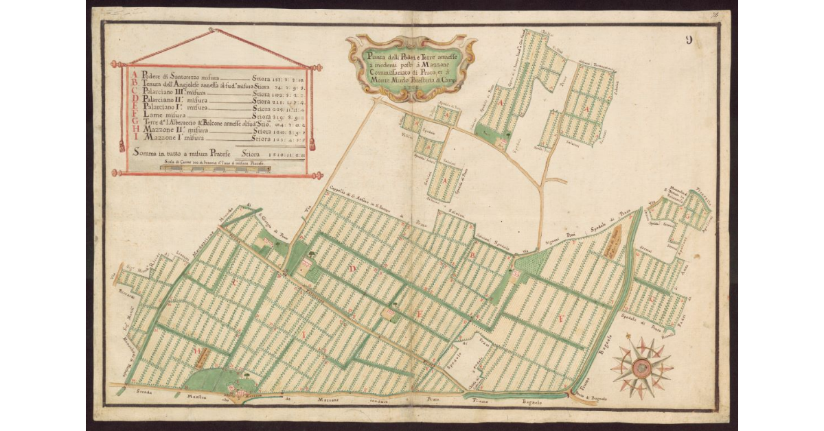 Pianta delli poderi e terre annesse alli mede[si]mi posti à Mazzone Commissariato di Prato, et à Monte Murlo Potesteria di Campi