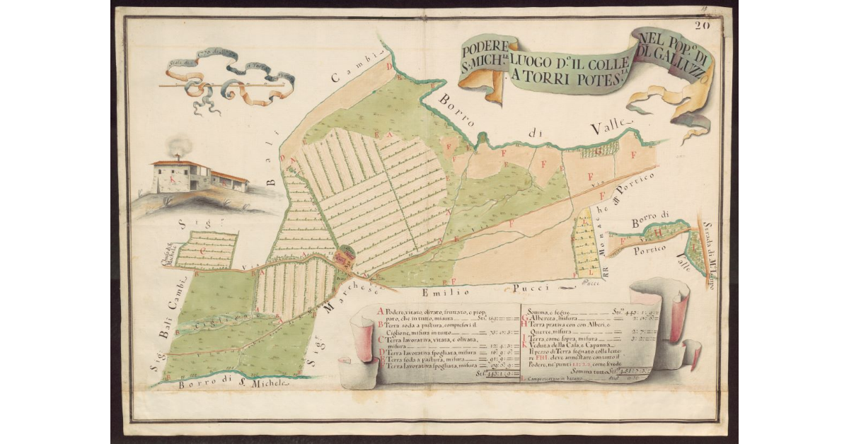 Podere luogo detto Il Colle nel Popolo di S. Michele a Torri Potesteria del Galluzzo
