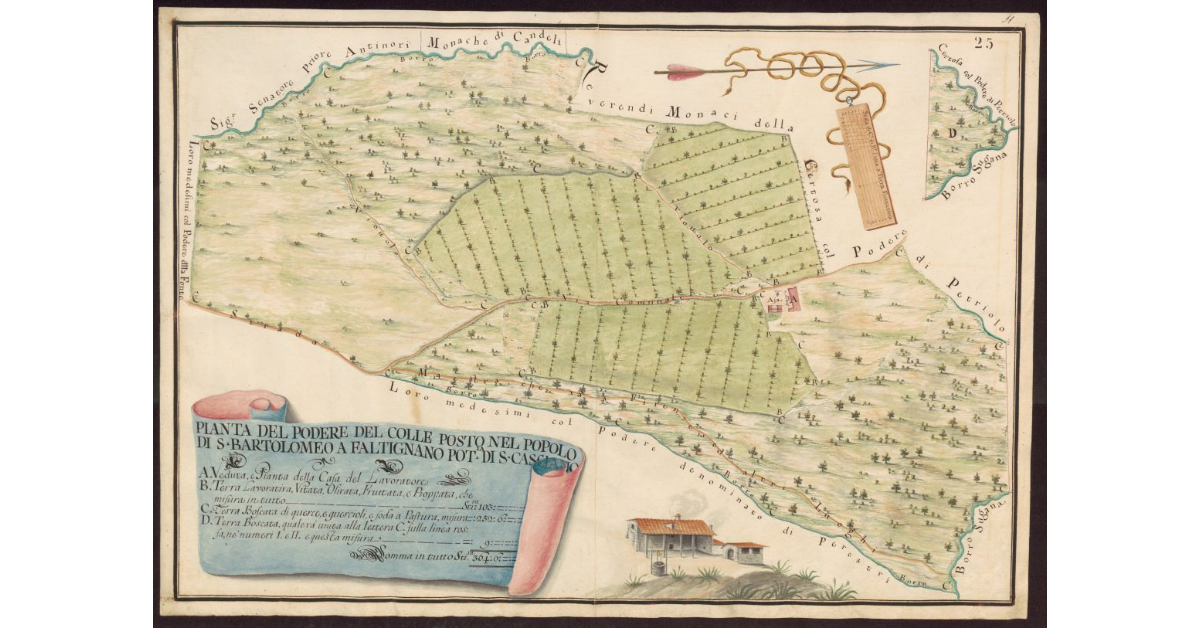 Pianta del Podere del Colle posto nel Popolo di S. Bartolomeo a Faltignano Potesteria di S. Casciano