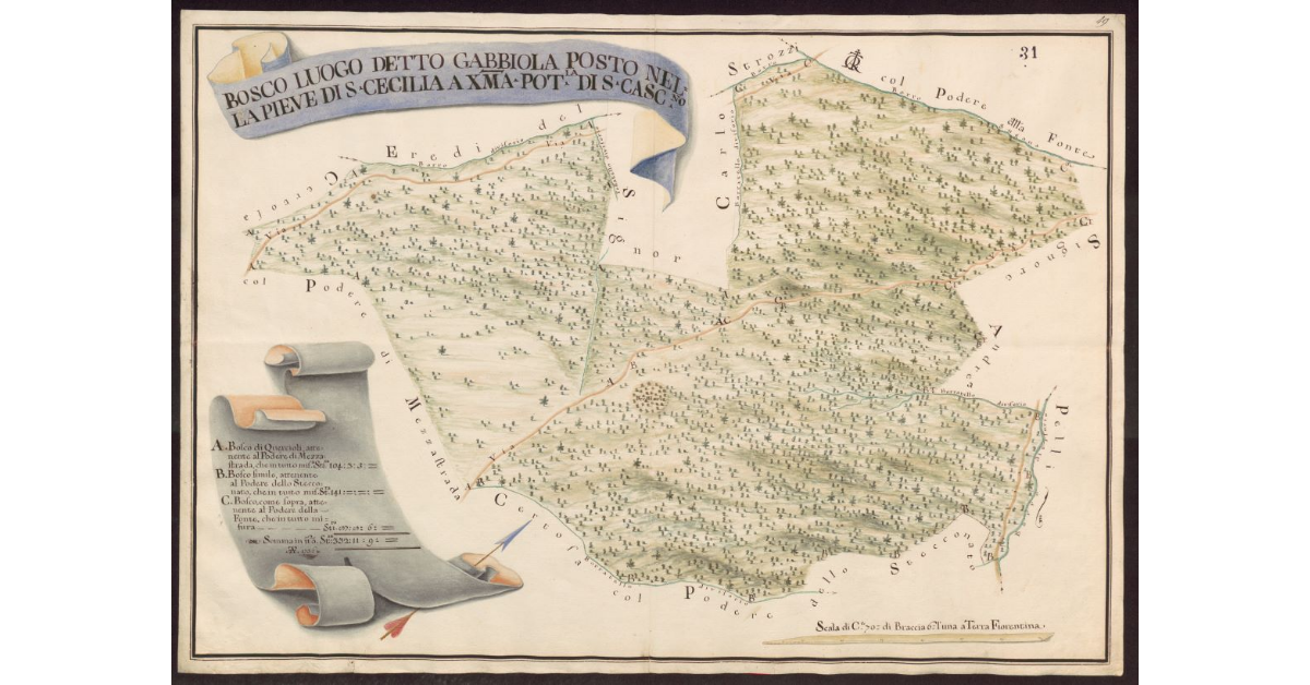 Bosco luogo detto Gabbiola posto nella Pieve di S. Cecilia a Decima Potesteria di S. Casciano