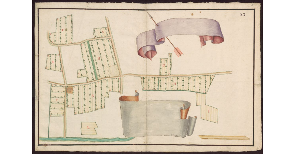 [Pianta incompleta di un podere interamente coltivato a seminativo arborato]