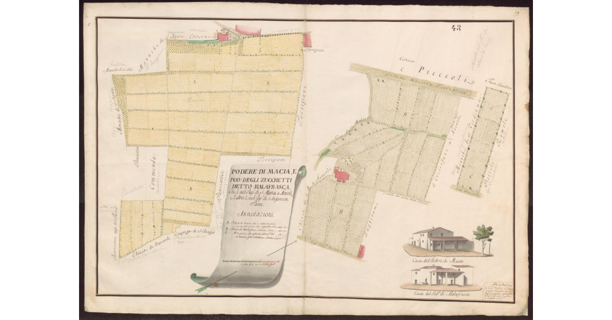 Podere di Macia, e Podere degli Zucchetti detto Malafrasca che è nel Popolo di S. Maria a Novoli, e l'altro è nel Popolo di S. Stefano in Pane