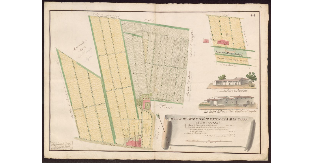 Podere de Fossi e Podere di Piazzacalda alle Carra