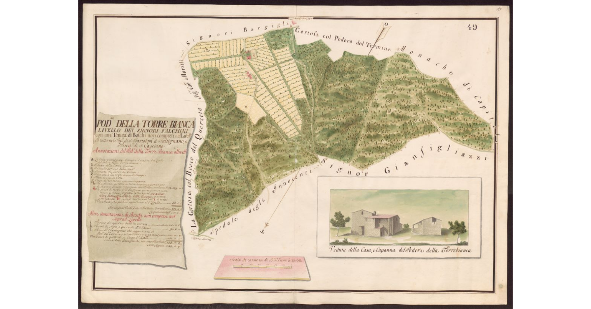 Podere della Torre Bianca livello dei Signori Falchini con una Tenuta di boschi non compresi nel livello. Il tutto nel Popolo di S. Bartolommeo a Faltignano e Potesteria di S. Casciano