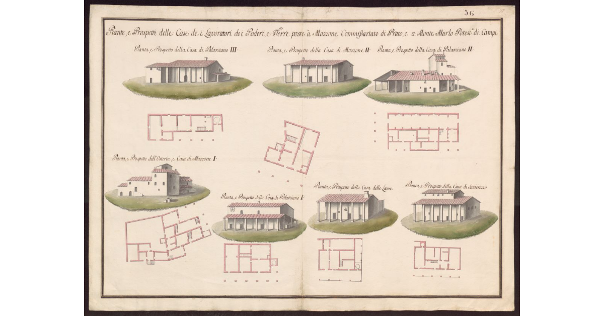 Piante e prospetti delle case de i lavoratori dei poderi, e terre poste a Mazzone Commissariato di Prato, e a Monte Murlo Potesteria di Campi