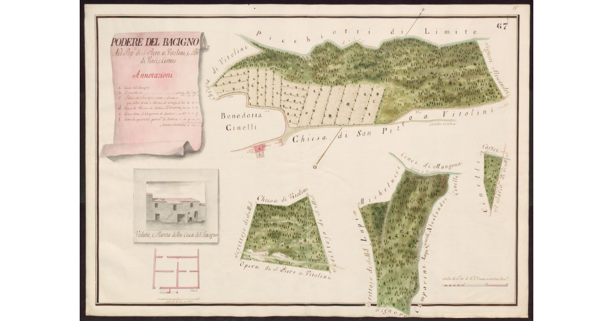Podere del Bacigno nel Popolo di S. Piero a Vitolini, e Potesteria di Vinci e Cerreto