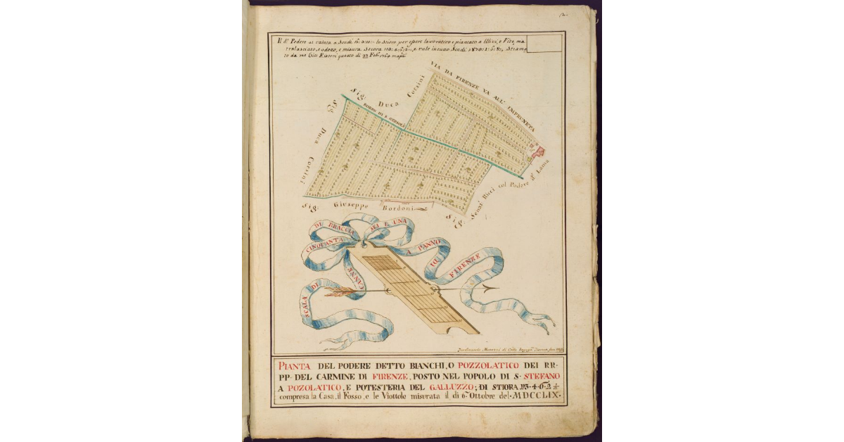 Pianta del Podere detto Bianchi o Pozzolatico dei RR. PP. del Carmine di Firenze posto nel Popolo di S. Stefano a Pozzolatico e Potesteria del Galluzzo