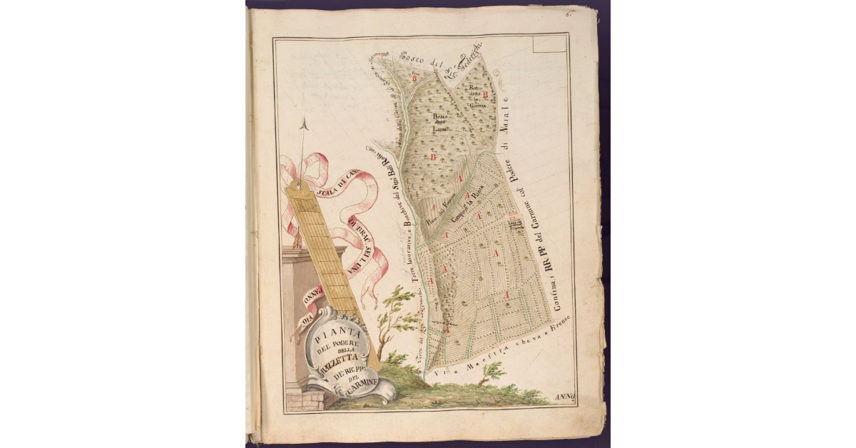 Pianta del Podere della Mazzetta dei RR. PP. del Carmine