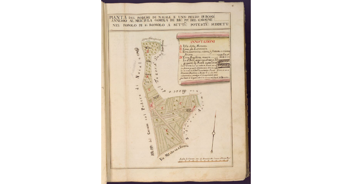 Pianta del Podere di Naiale e un pezzo di bosco annesso al medesimo detto la Gorina de RR. PP. del Carmine nel Popolo di S. Romolo a Settignano Potesteria suddetta
