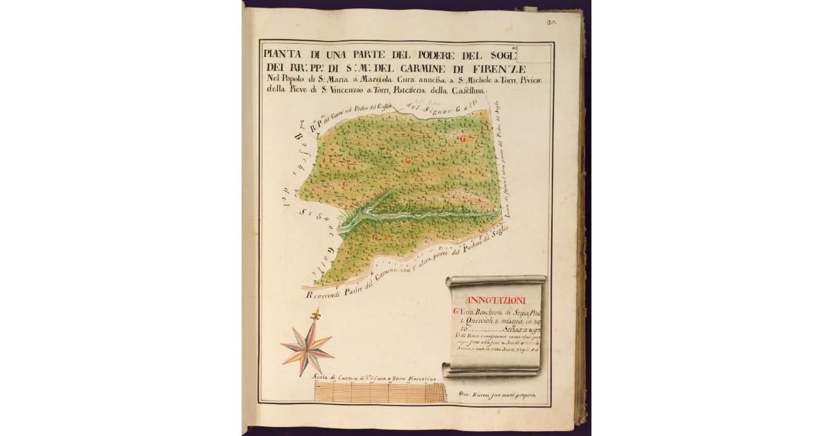 Pianta di una parte del Podere del Soglio dei RR. PP. di S. M. del Carmine di Firenze nel Popolo di S. Maria a Marciola cura annessa a S. Michele a Torri, Piviere della Pieve di Vincenzio a Torri, Potesteria della Casellina