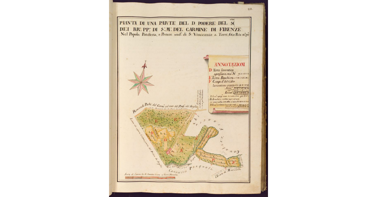 Pianta di una parte del detto Podere del Soglio dei RR. PP. di S. M. del Carmine di Firenze [nel Popolo di S. Maria a Marciola cura annessa a S. Michele a Torri, Piviere della Pieve di Vincenzio a Torri, Potesteria della Casellina]