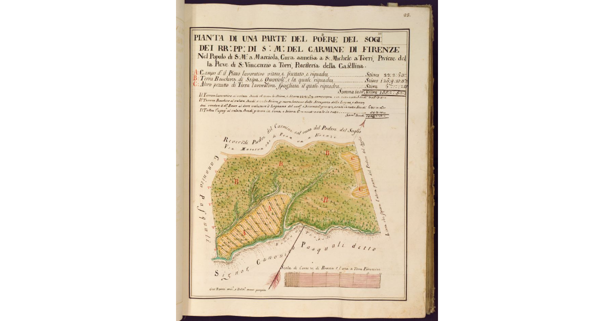 Pianta di una parte del Podere del Soglio dei RR. PP. di S. M. del Carmine di Firenze nel Popolo di S. Maria a Marciola cura annessa a S. Michele a Torri, Piviere della Pieve di Vincenzio a Torri, Potesteria della Casellina