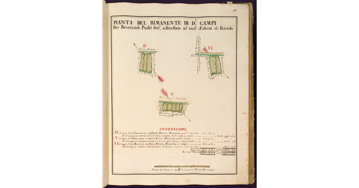 Pianta del rimanente [dei campi dei RR. PP. di S. Maria del Carmine di Firenze, allivellati al Falcini di Petriolo]
