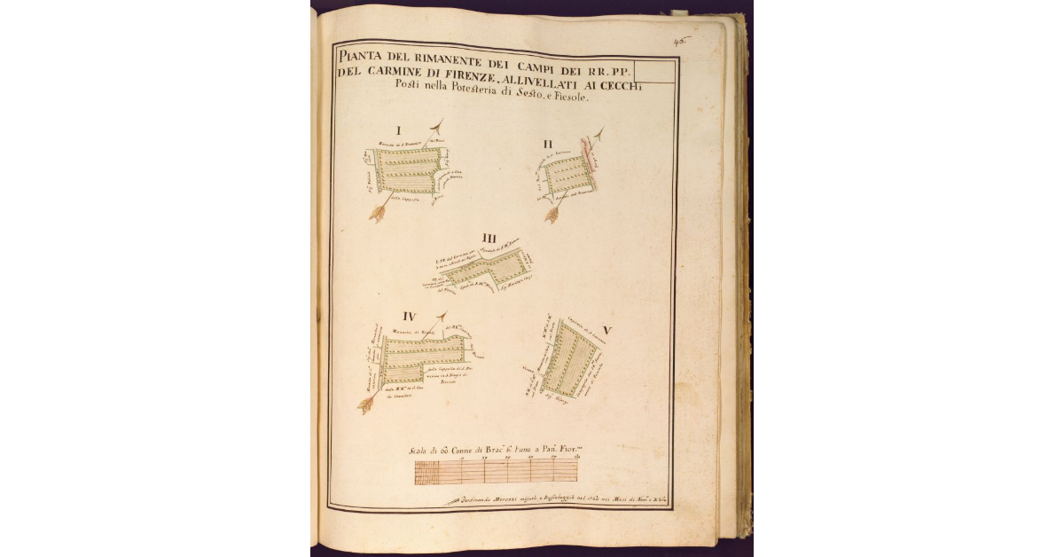 Pianta del rimanente dei campi dei RR. PP. del Carmine di Firenze allivellati ai Cecchi di Petriolo posti nella Potesteria di Sesto e Fiesole