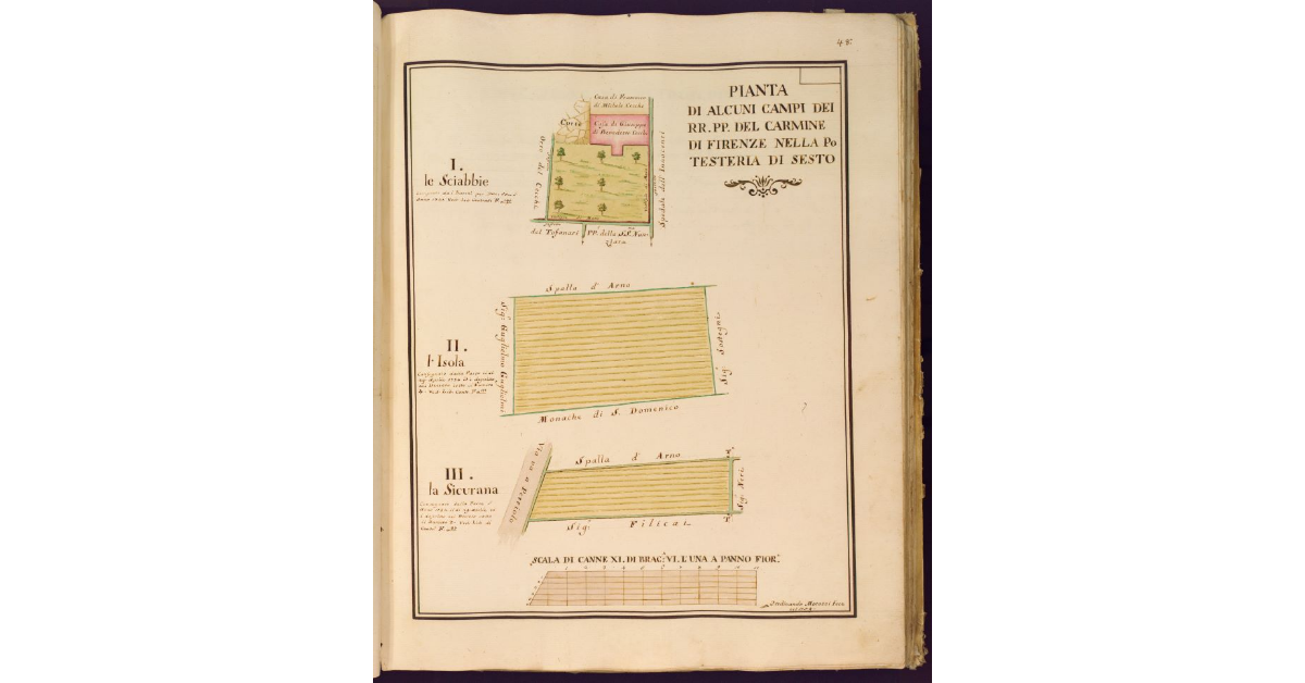Pianta di alcuni campi dei RR. PP. del Carmine di Firenze nella Potesteria di Sesto