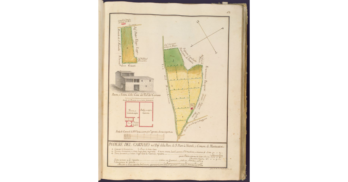 Podere del Carnaio nel Popolo della Pieve di S. Piero a Nievole, e Comune di Montecatini