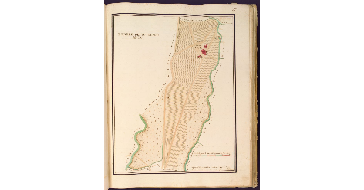 Podere detto Bonsi N. IV