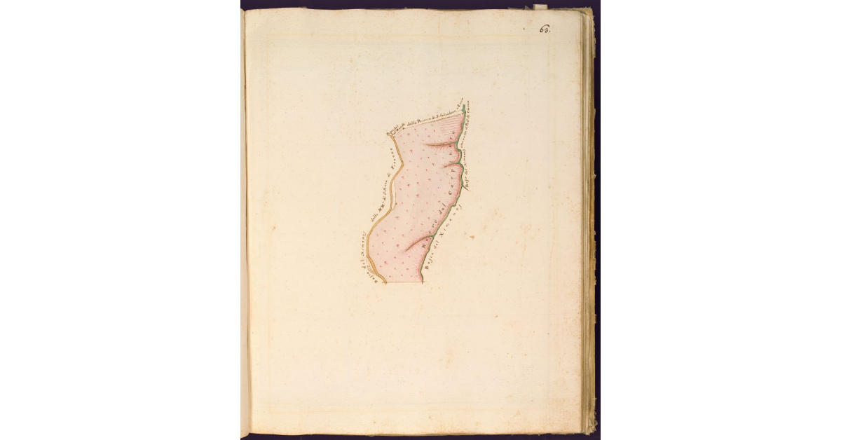 [Parte del Podere di Vallelunga N. V]