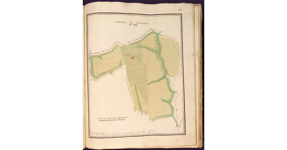 Podere di Baganci N. VIII