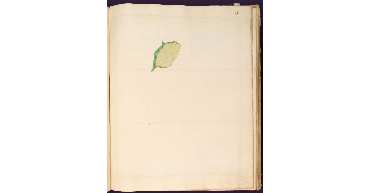 [Parte del Podere di Baganci N. VIII]