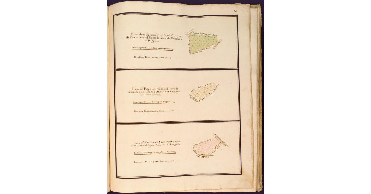 [Pianta di tre appezzamenti di terra dei Padri del Carmine di Firenze posti nella Podesteria di Reggello]