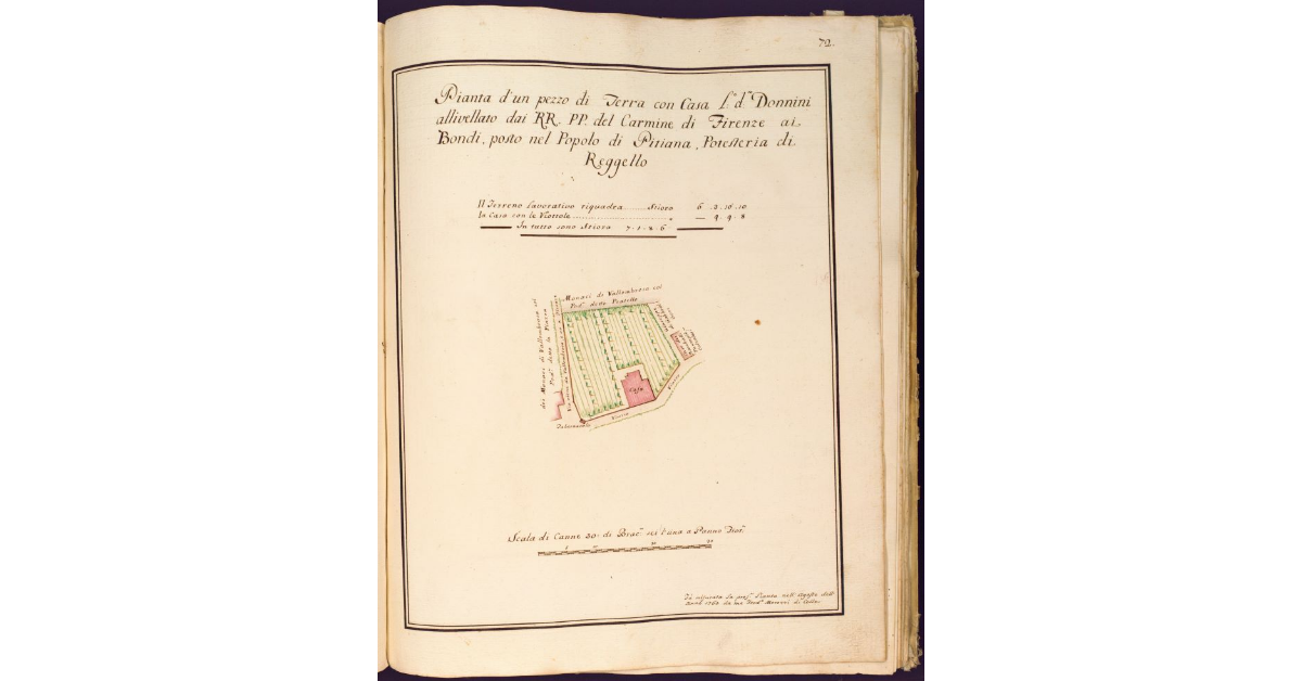 Pianta d'un pezzo di terra con casa luogo detto Donnini allivellato dai RR. PP. del Carmine di Firenze ai Bondi, posto nel Popolo di Pitiana, Potesteria di Reggello