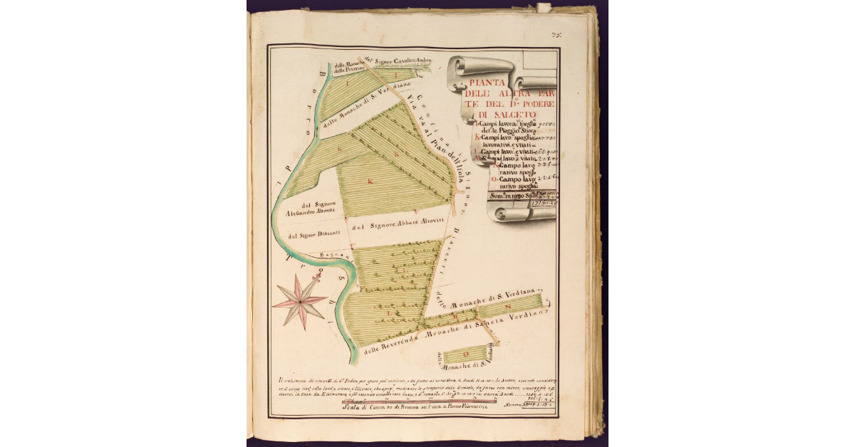 Pianta dell'altra parte del detto Podere di Salceto [dei RR. PP. del Carmine di Firenze posto nel Popolo di S. Cristofano in Perticaia Potesteria del Pontassieve]