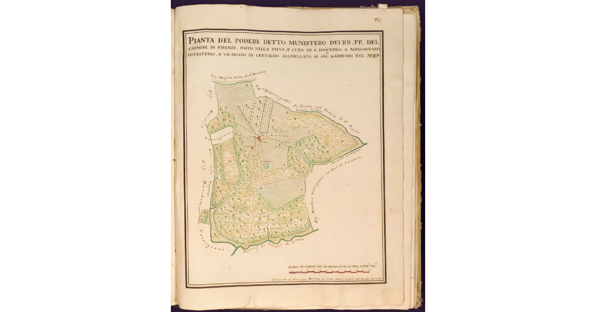 Pianta del Podere detto Munistero dei RR. PP. del Carmine di Firenze, posto nella Pieve, e Cura di S. Donnino a Megognano Potesteria e Vicariato di Certaldo
