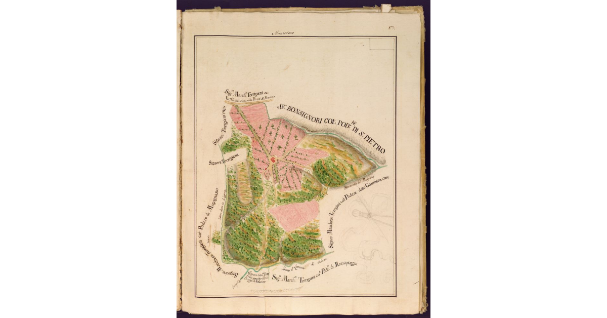 [Pianta del Podere detto Munistero dei RR. PP. del Carmine di Firenze, posto nella Pieve, e Cura di S. Donnino a Megognano Potesteria e Vicariato di Certaldo]