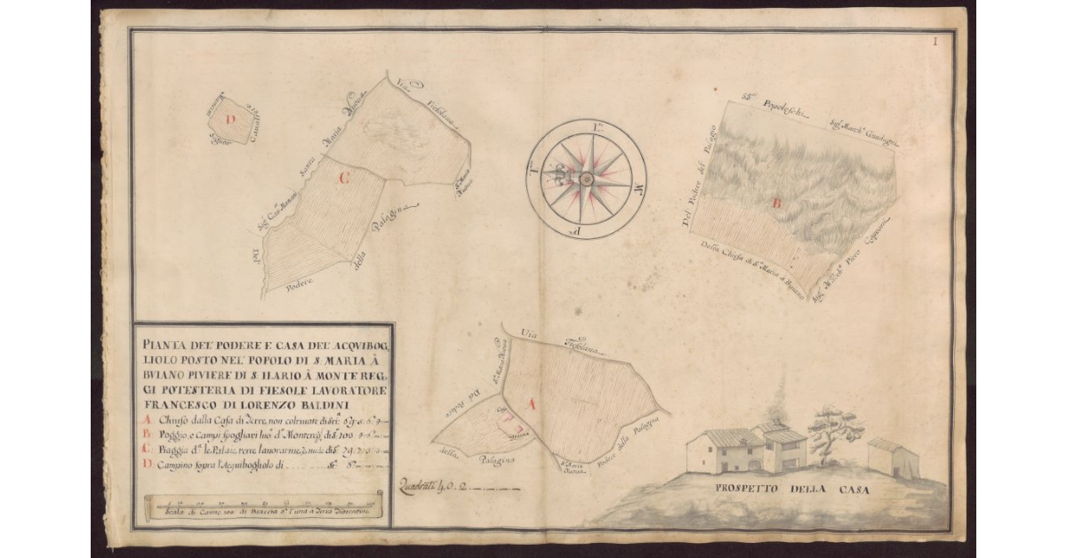Pianta del Podere e casa dell'Acquibogliolo posto nel Popolo di S. Maria a Buiano Piviere di S. Ilario a Montereggi Potesteria di Fiesole