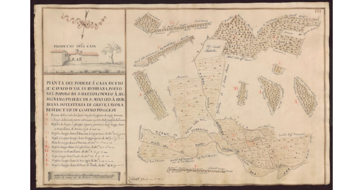 Pianta del Podere e casa detto Il Cavato in Val di Rubbiana, posto nel Popolo di S. Bartolommeo a Musignano, Piviere di S. Miniato a Rubbiana, Potesteria di Greve