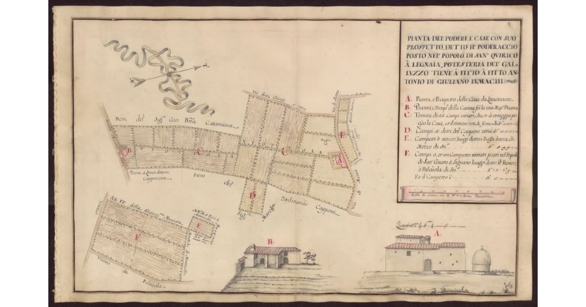 Pianta del Podere e case con suo prospetto detto Il Poderaccio nel Popolo di San Quirico a Legnaia Potesteria del Galluzzo